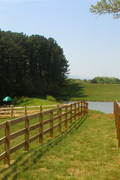 Gazebo and Goose by the Pond