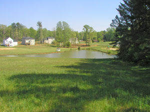 Wexford Pond