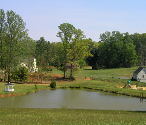 Summer Pond with fisherman