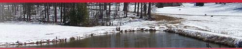 Wexford Winter Pond